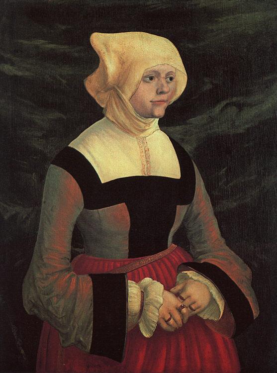 Albrecht Altdorfer Portrait of a Lady oil painting image